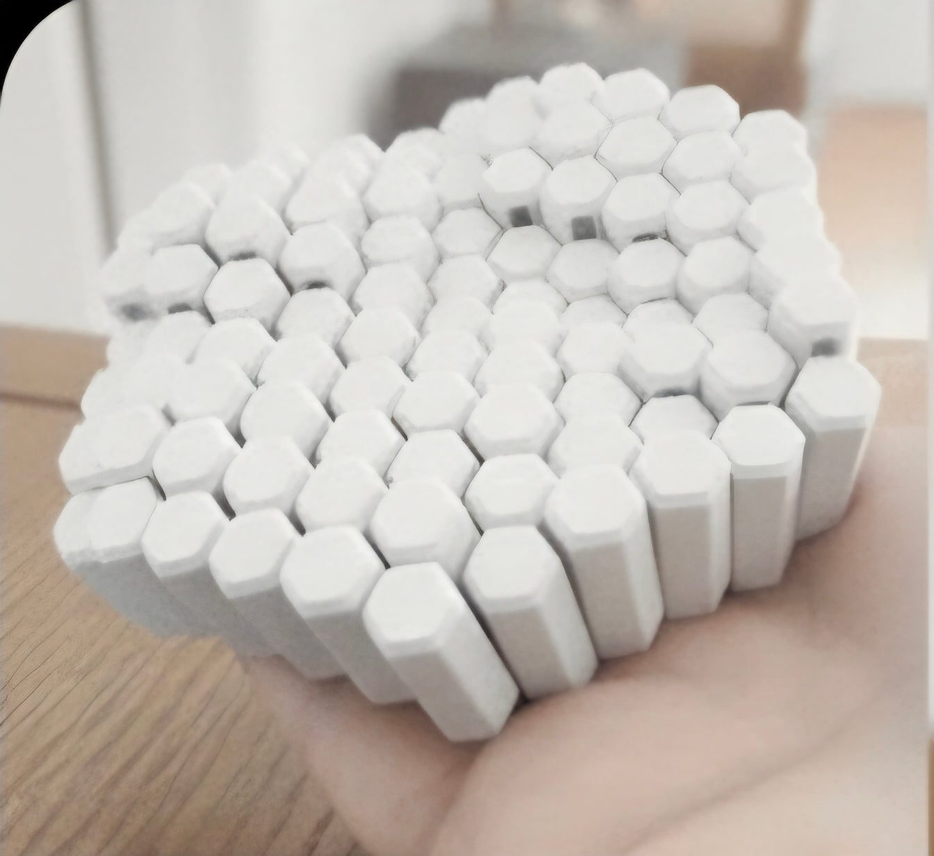 Hexagon Mesh-Fidget Toy