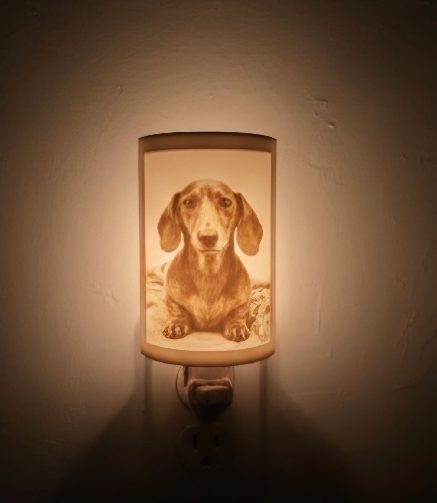 Forever Paws: Custom Pet Memorial Light
